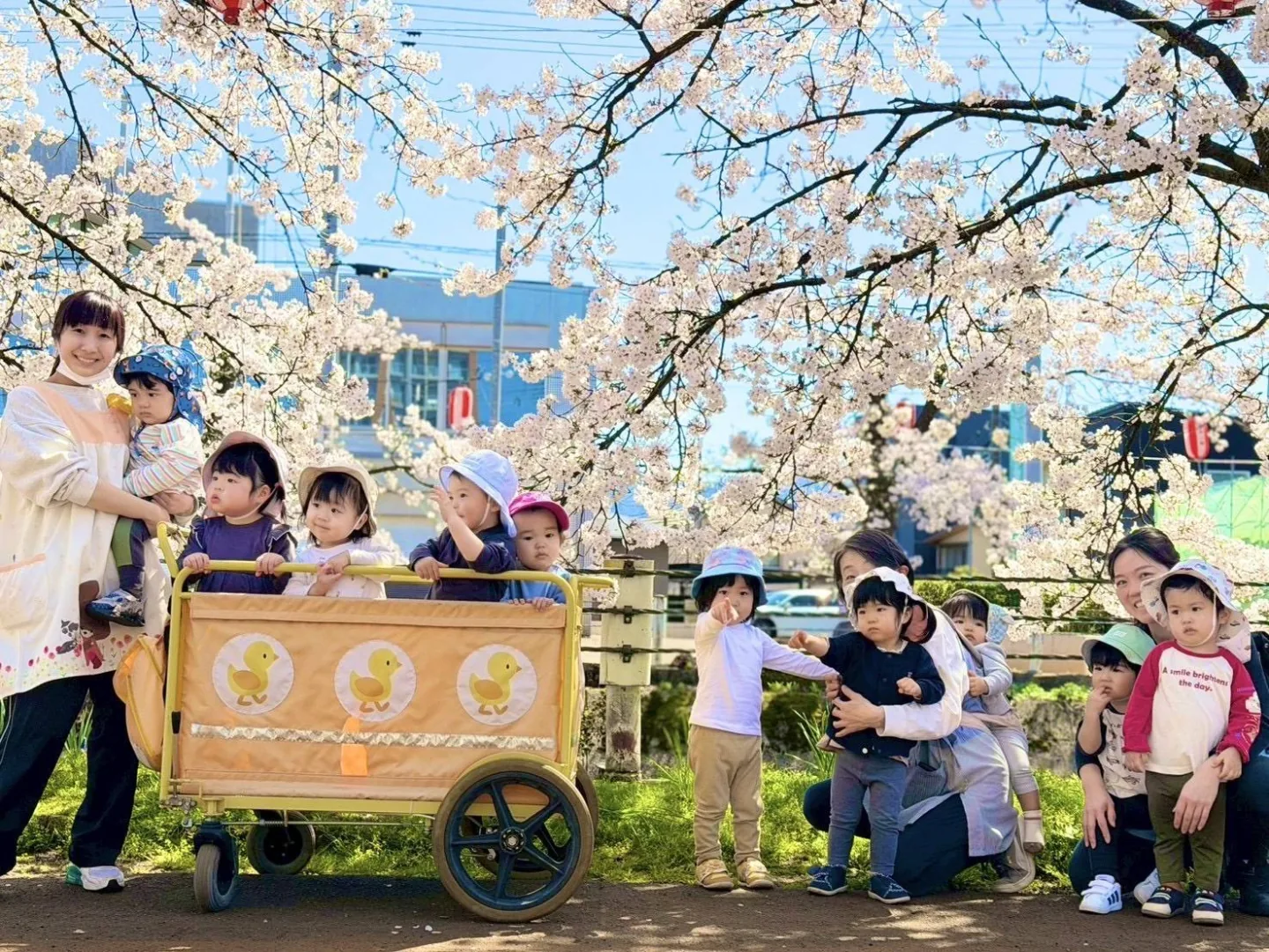 桜の下で子どもたちと先生が過ごす様子