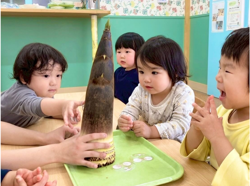たけのこを観察する子どもたち