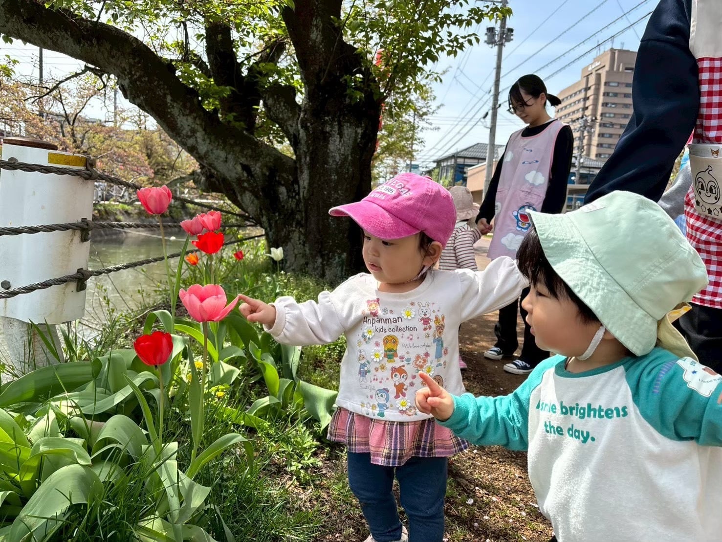 チューリップに手を伸ばす子どもたちと見守る保育士
