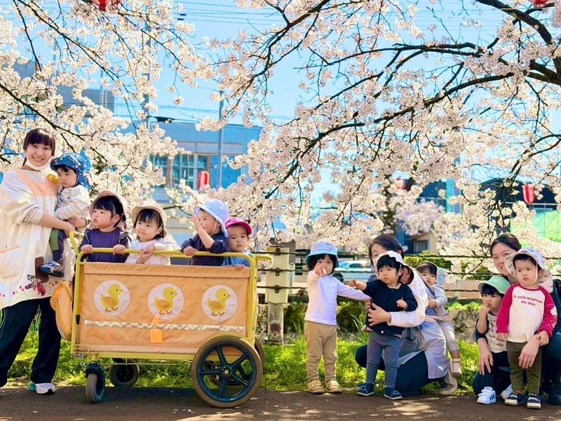 桜の木の下で過ごす子どもたちと保育士